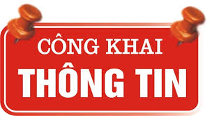 THỰC HIỆN CÔNG KHAI NGÂN SÁCH VÀ CÁC HOẠT ĐỘNG TÀI CHÍNH KHÁC TẠI ĐỊA PHƯƠNG